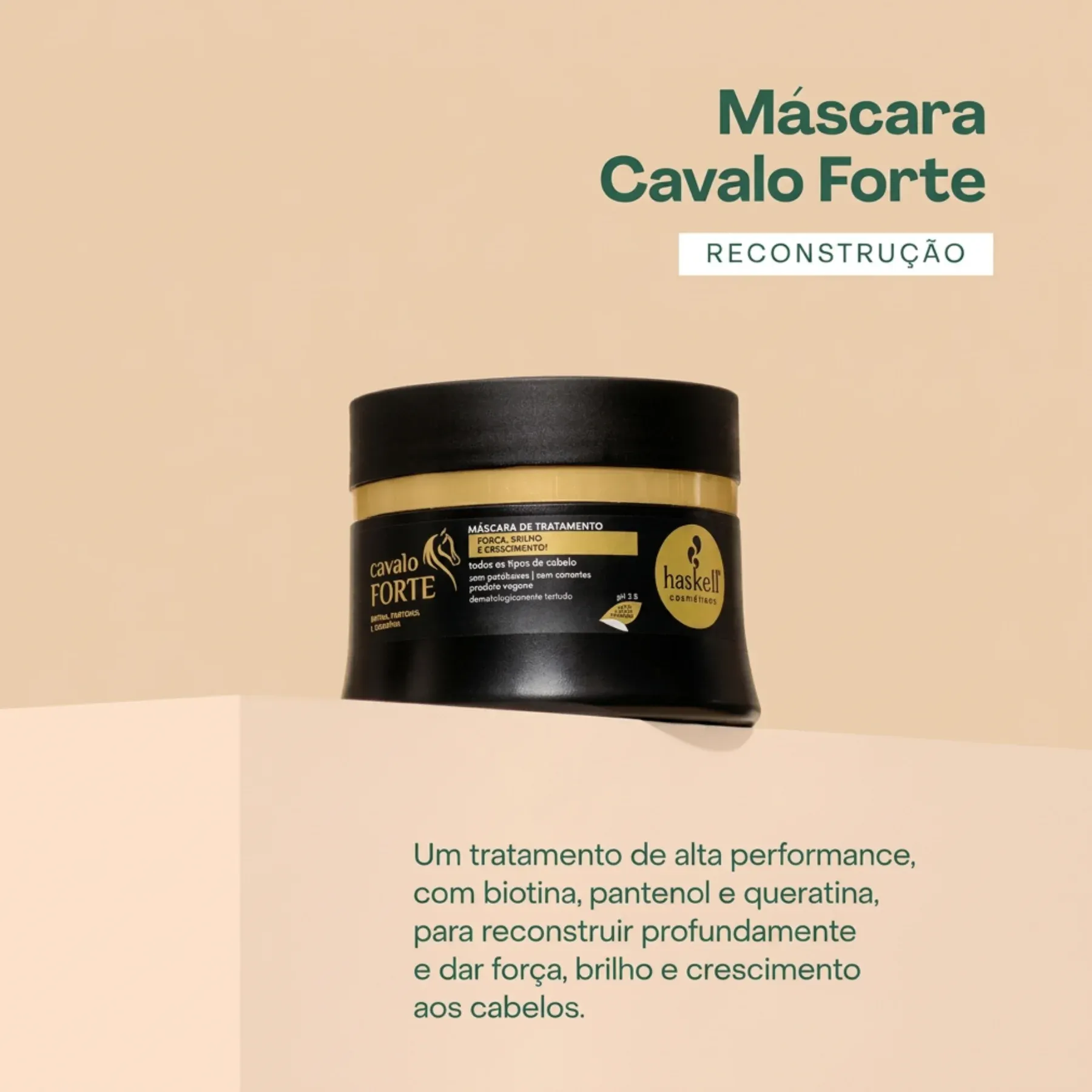 MASC CAVALO -3-